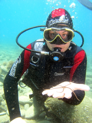 Plongée avec une étoile de mer