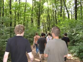 Forêt de Zwingenberg / Arbaro de Zwingenberg