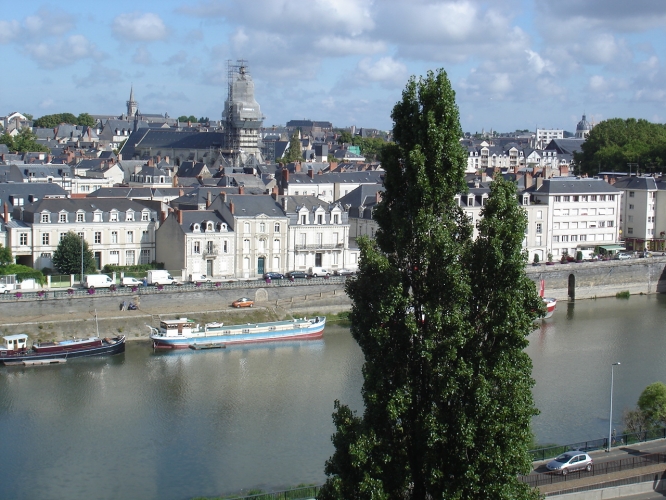 dsc01110.jpg