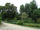 dsc01202.jpg