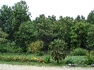 dsc01203.jpg