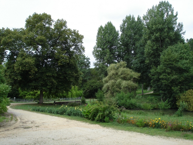 dsc01202.jpg