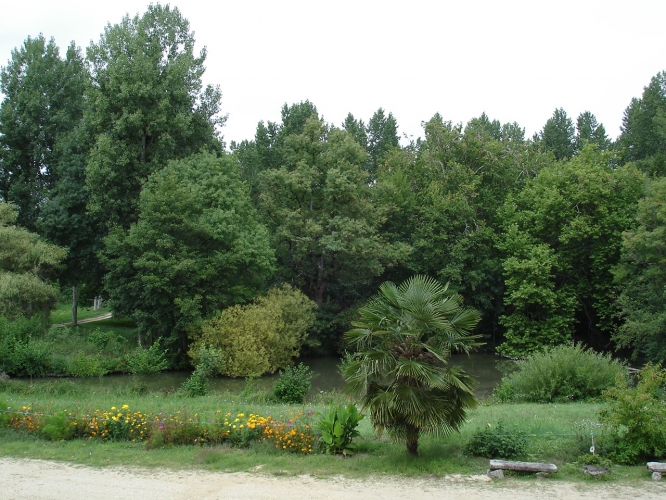 dsc01203.jpg