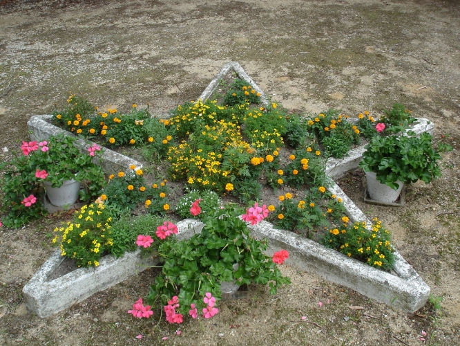  Verda flora stelo 