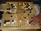 Go-ludo