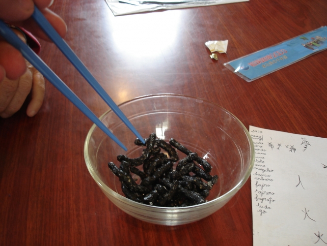  Sukera karbo 