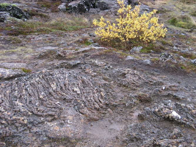  Roche volcanique au parc national de Þingvellir 
